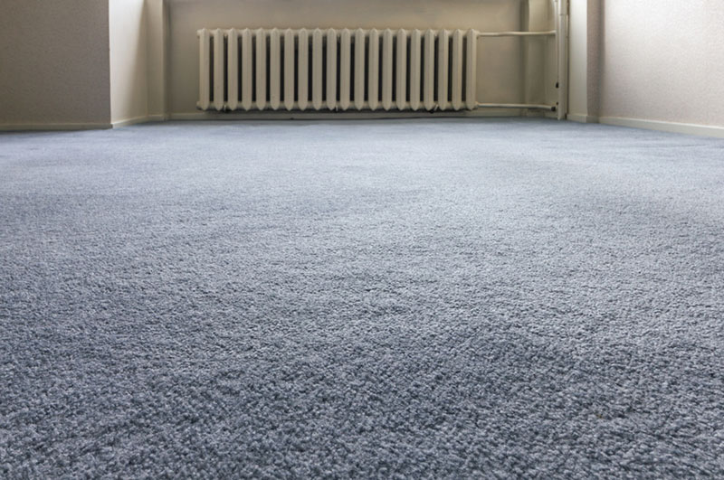 Blue Carpet Floor